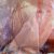 Bodenstudie Nummer 3, Detail